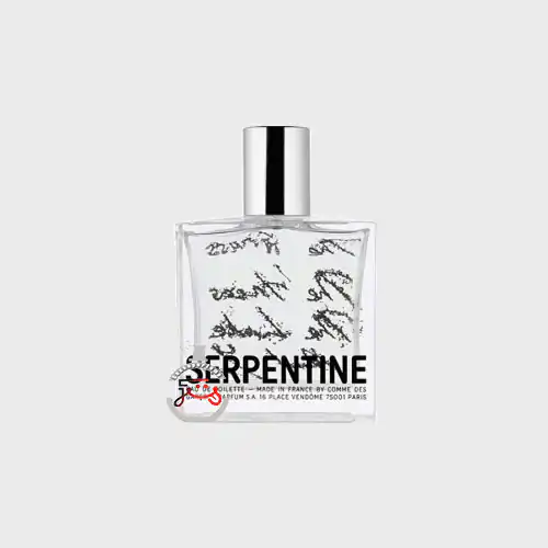 عطر ادکلن کام دی گارکونس سرپنتاین | comme des garcons serpentine ادو پرفیوم صد میل