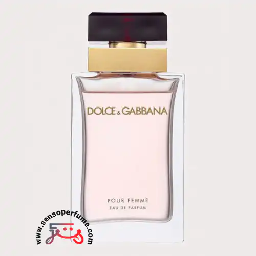 عطر ادکلن دی اند جی دلچه گابانا پور فم | dolce gabbana pour femme ادو پرفیوم صد میل