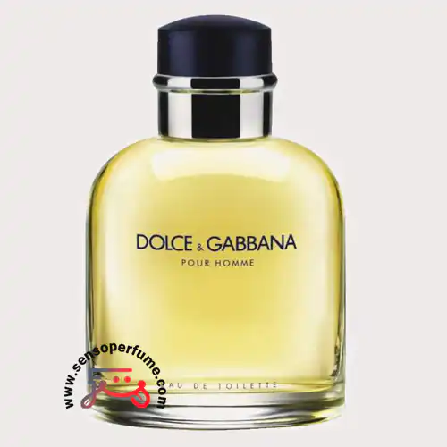 عطر ادکلن دلچه گابانا پور هوم | dolce gabbana pour homme ادوتویلت صدو بیست وپنج میل