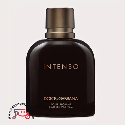 عطر ادکلن دی اند جی دلچه گابانا پور هوم اینتنسو | dolce gabbana pour homme intenso ادو پرفیوم صدو بیست وپنج میل