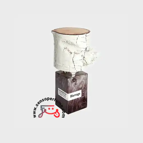 عطر ادکلن ناسوماتو بلاماج | nasomatto blamage اکستریت د پرفیوم سی میل