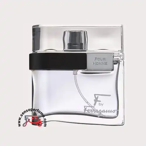 عطر ادکلن سالواتوره فراگامو بلک اف | salvatore ferragamo black f ادوتویلت صد میل