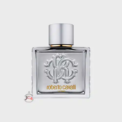 عطر ادکلن روبرتو کاوالی یومو سیلور اسنس | roberto cavalli uomo silver essence ادوتویلت صد میل