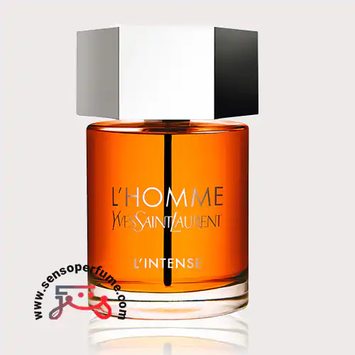 عطر ادکلن ایو سن لورن لهوم اینتنس | ysl l’homme intense ادو پرفیوم صد میل