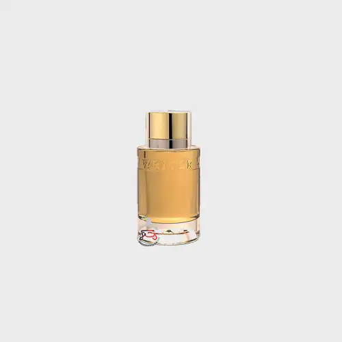 عطر ادکلن  رایتر گلد ایو دو سیستل | yves de sistelle writer gold ادوتویلت صد میل